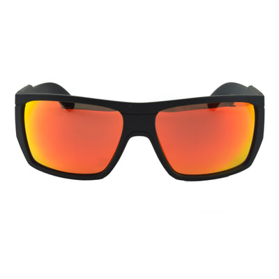 Webster Polarized Sunglasses